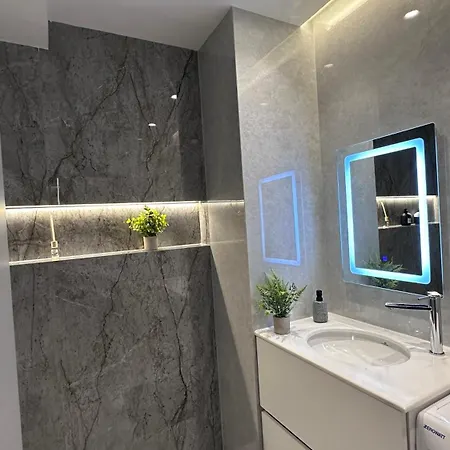 Frida Luxury 公寓 地拉那